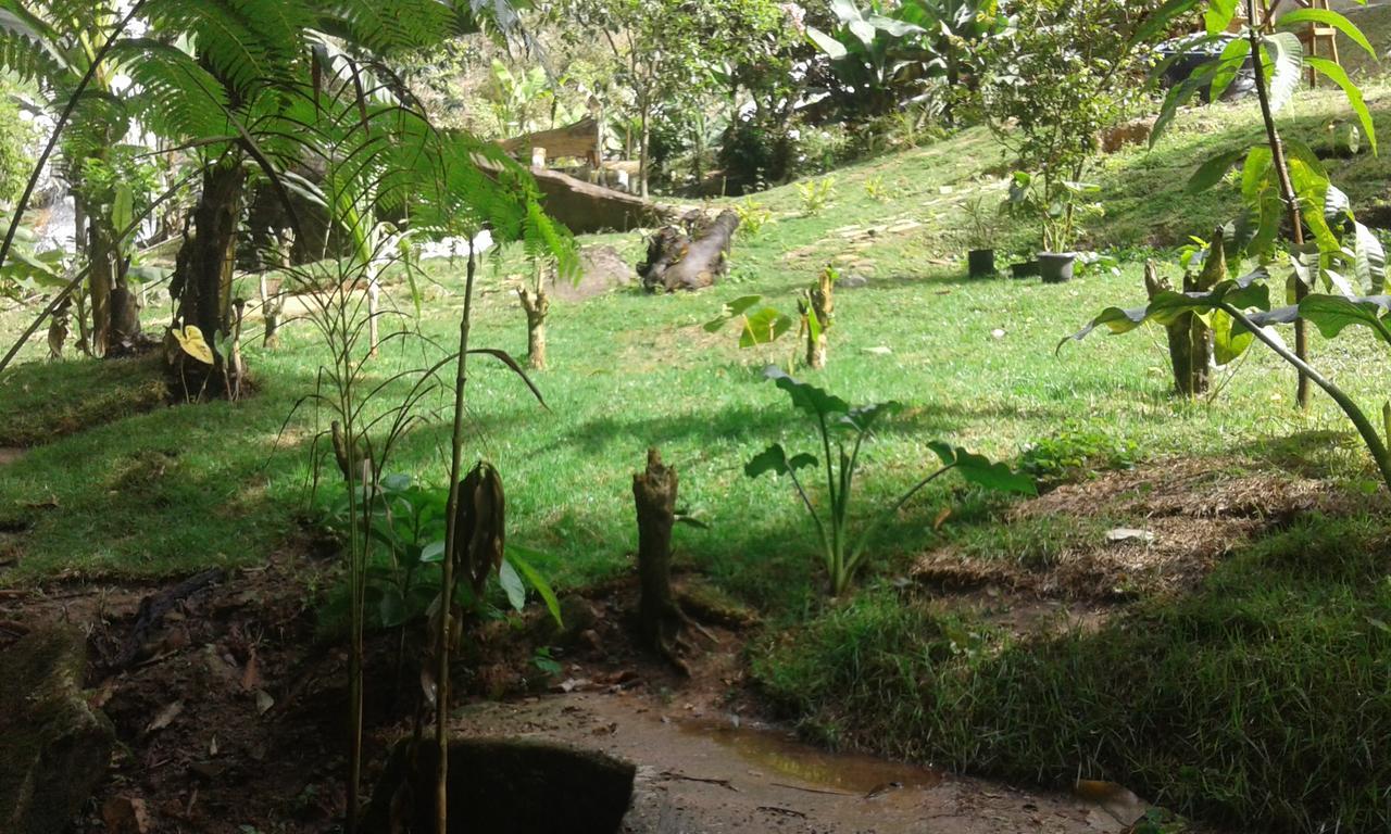 Pousada Águas da Mata Brejetuba Esterno foto
